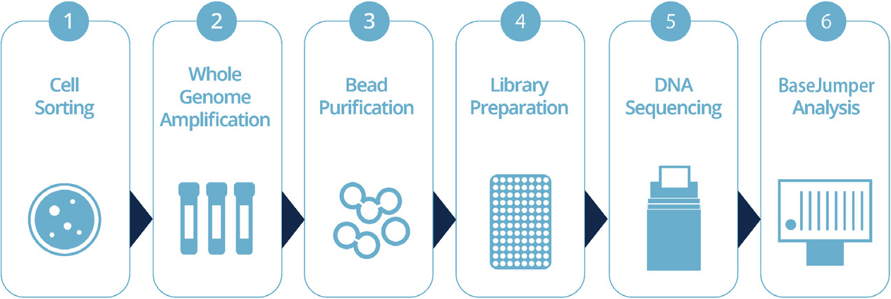 Integrated Workflows for Single Cell Genome Analysis - Unprecedented ...
